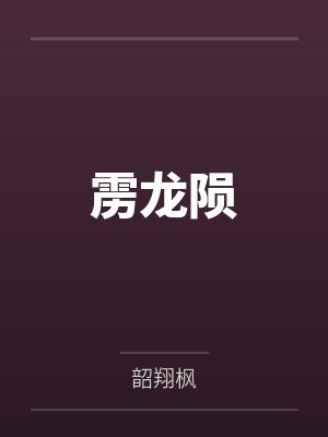 雳龙陨封面